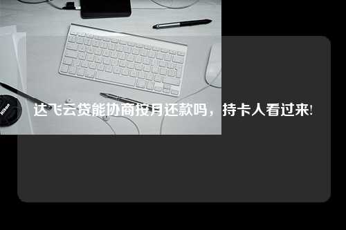 达飞云贷能协商按月还款吗，持卡人看过来!