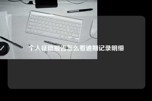 个人征信报告怎么看逾期记录明细