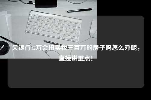 欠银行12万会拍卖我三百万的房子吗怎么办呢，直接讲重点！