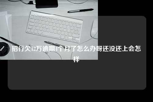 招行欠12万逾期4个月了怎么办呀还没还上会怎样