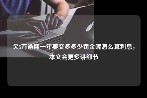 欠5万逾期一年要交多多少罚金呢怎么算利息，本文会更多讲细节